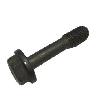 ���� �������� ���